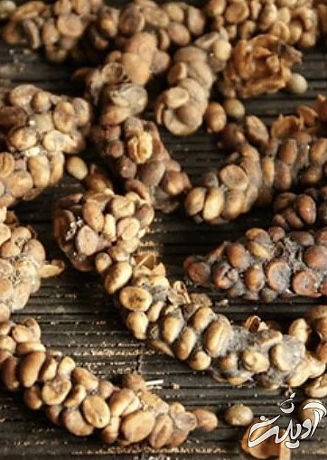 چندش آور ترین غذا های دنیا را بشناسید!/ تصاویر